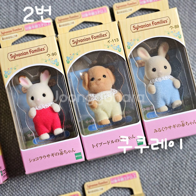 실바니안 직립 아기 양, 고양이, 토이푸들--2