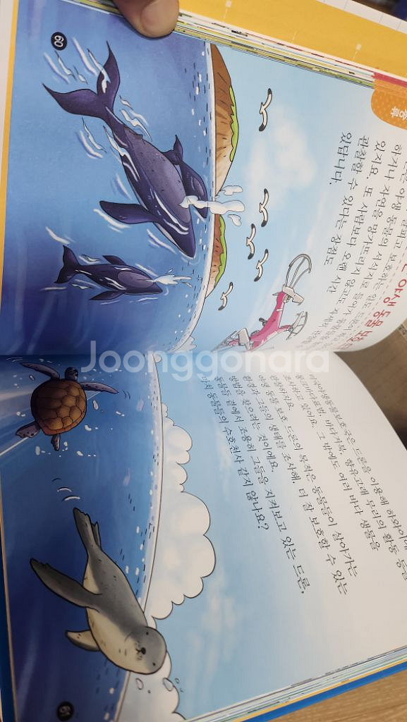 글송이 어린이 과학백과 전집--2