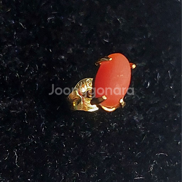 18k 천연 산호 귀걸이 세트--2