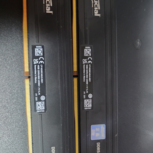 Crucial DDR5 Pro 램 2개 32기가