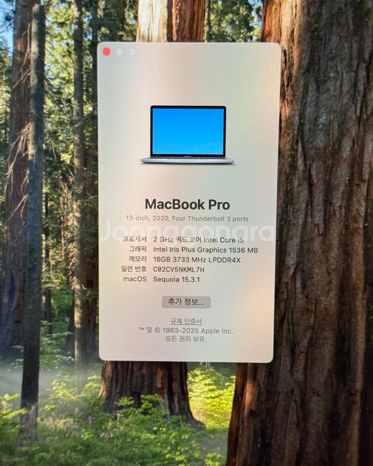 맥북프로 인텔 13인치 / 16GB, 512GB--2