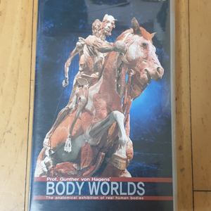 인체의신비 전시 Body Worlds 비디오테이프