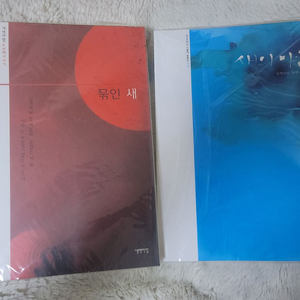(bl소설)[새벽바람]묶인새