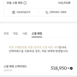 신세계 리워드 519000원