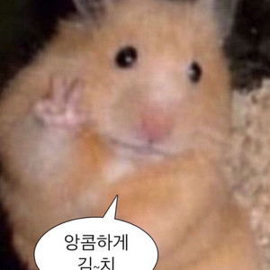 애플 아이패드 매직키보드11 삽니다