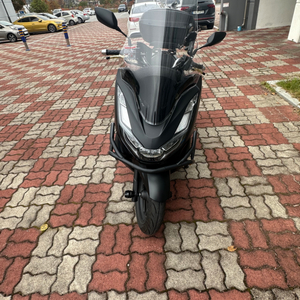 24년식 pcx125 신차급