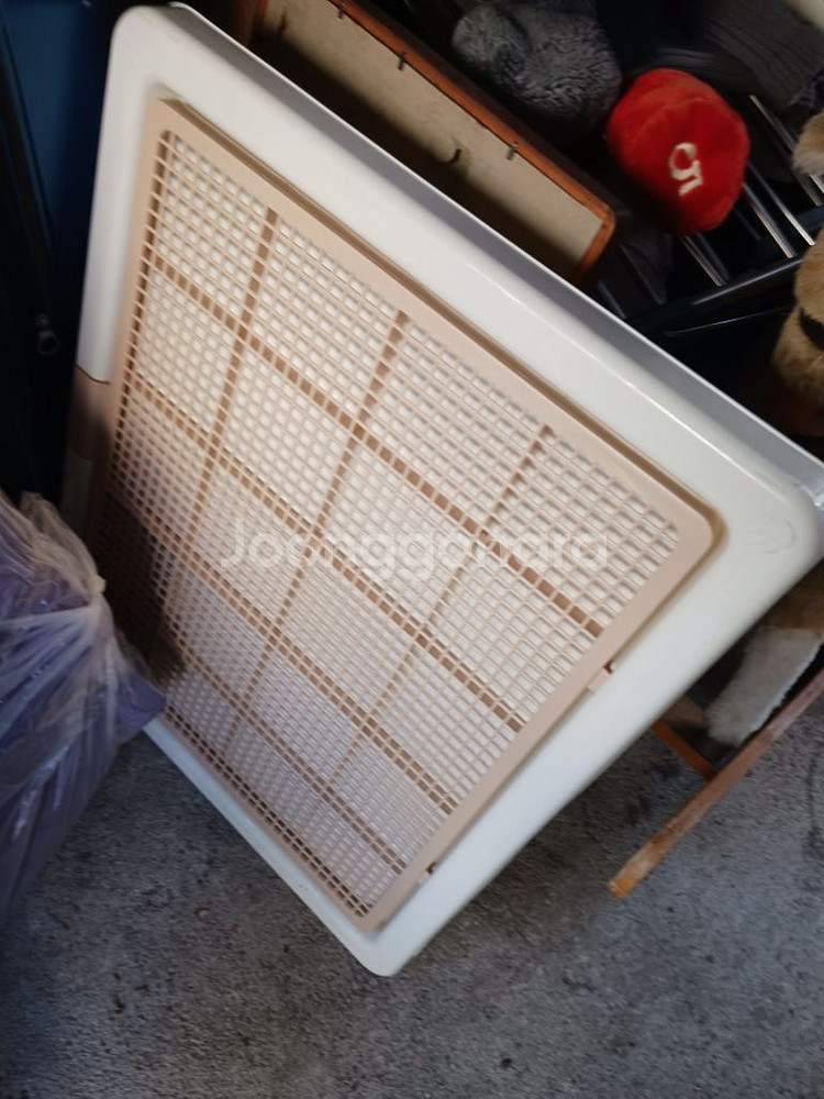 반려견 화장실--0