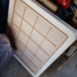 반려견 화장실