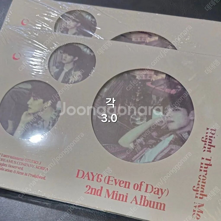 데이식스 엠디 굿즈 포카 데니멀즈 쁘띠멀즈 인형 콘서트--2