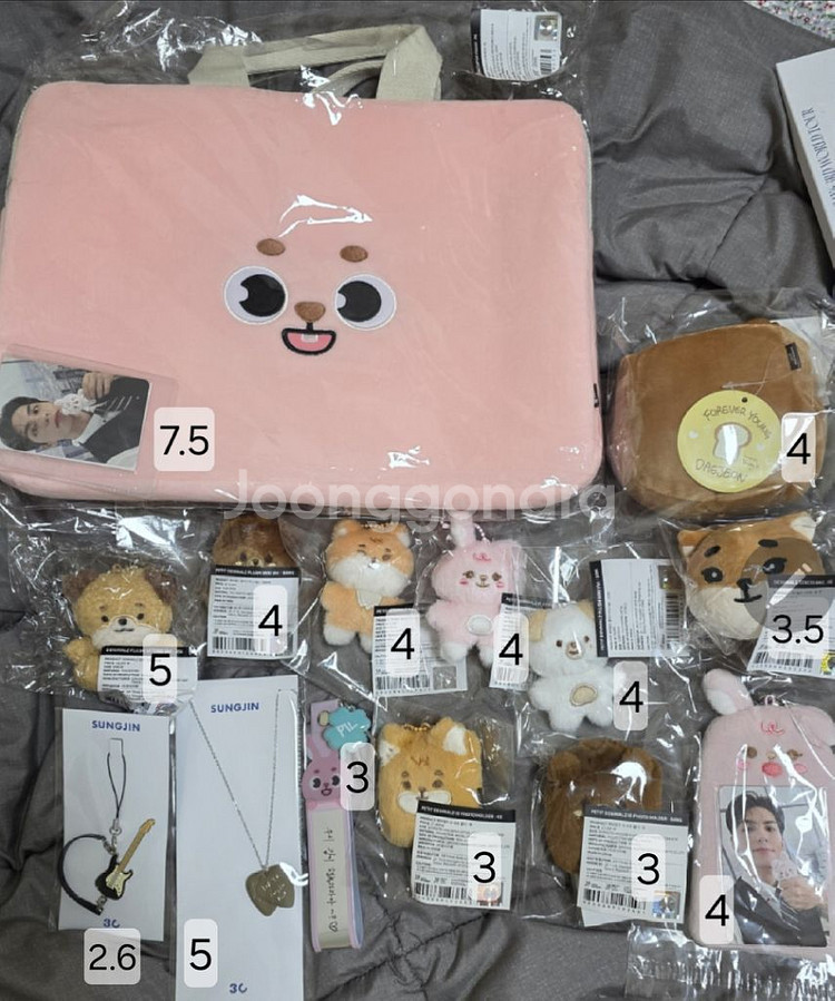 (원가양도 포카 4장 포함) 데이식스 원필 향수--6