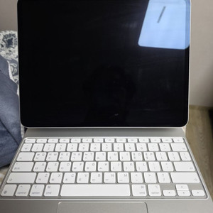 아이패드 프로13 실버 256 팝니다