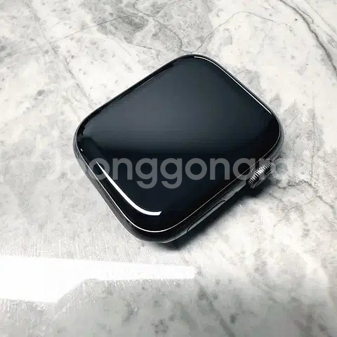 애플워치9 45mm 셀룰러 스테인리스--2