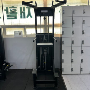 치닝어시스트