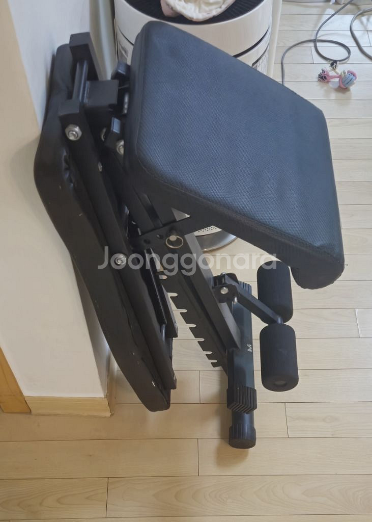 아이언스타 분리형 스쿼트렉--2