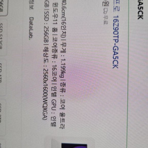 LG 그램 16Z90TP GA5CK 2대
