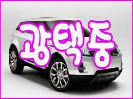 @14년식 올 뉴카니발 9인승 디젤 럭셔리 전국최저가--8