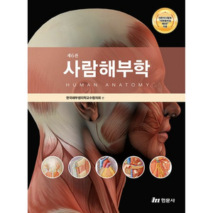 사람해부학 pdf 구해요