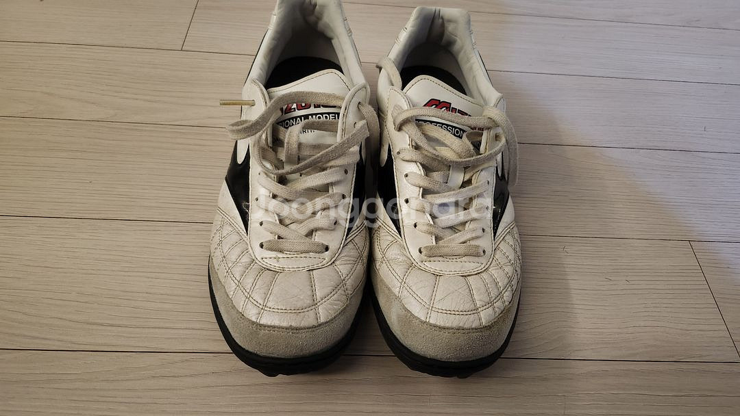 모렐리아 살라 재팬 TF 270mm--1