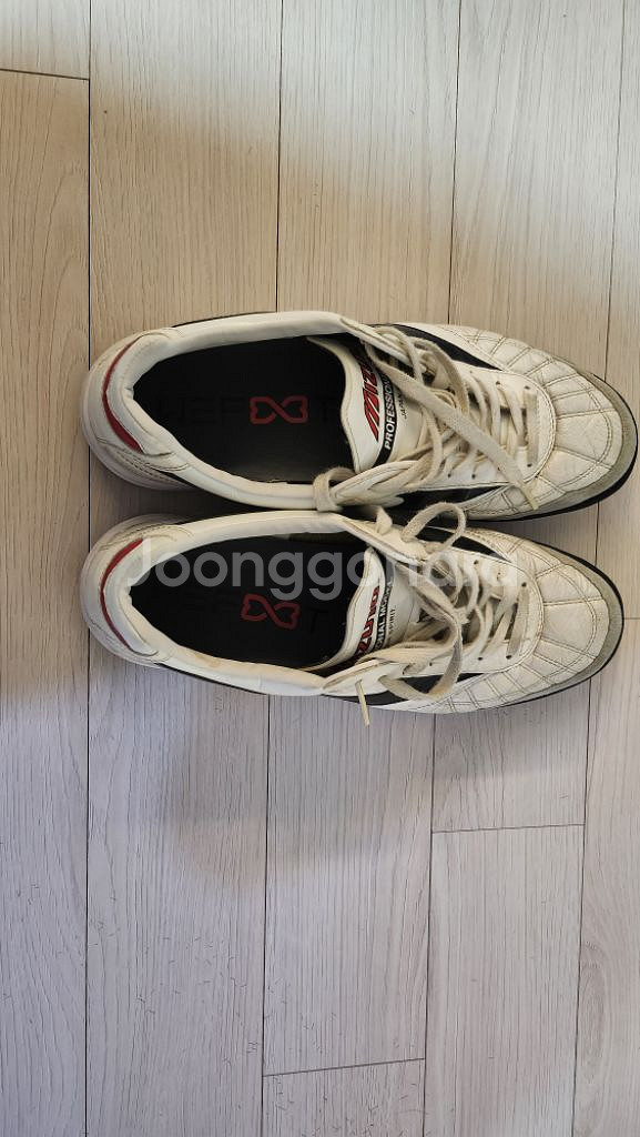 모렐리아 살라 재팬 TF 270mm--2