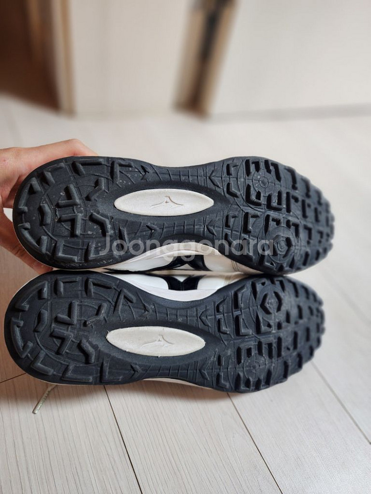 모렐리아 살라 재팬 TF 270mm--3