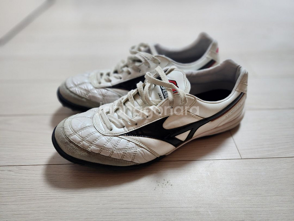 모렐리아 살라 재팬 TF 270mm--0