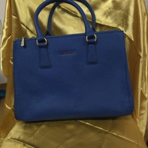 SISLEY 시슬리 토트백 신상급