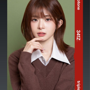 트리플에스 VV 코토네 시현하다 오브젝트 양도 판매