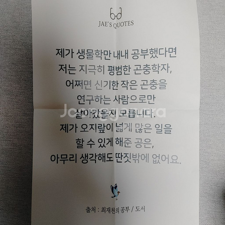 최재천 교수님 알면 사랑한다 세라믹 머그컵 500ml--5