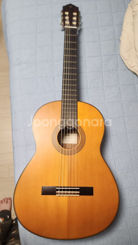 야마하 클래식 기타 CG122MS--1