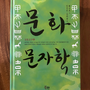 문화 문자학 (하드커버)