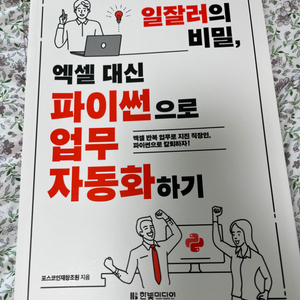 일잘러의 비밀, 엑셀 대신 파이썬으로 업무 자동화하기