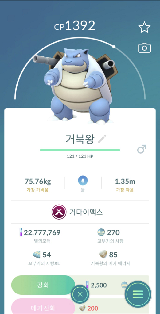 포켓몬고 거다이맥스 포켓몬 판매--2