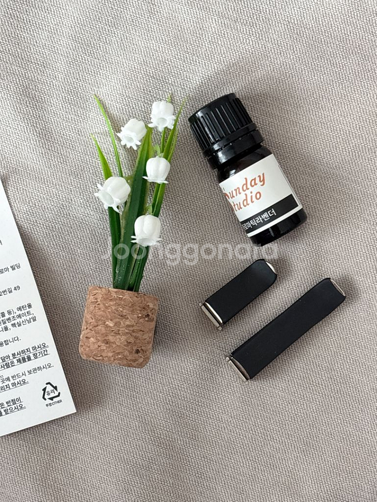 차량용 식물 방향제--2