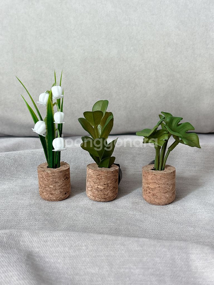 차량용 식물 방향제--0