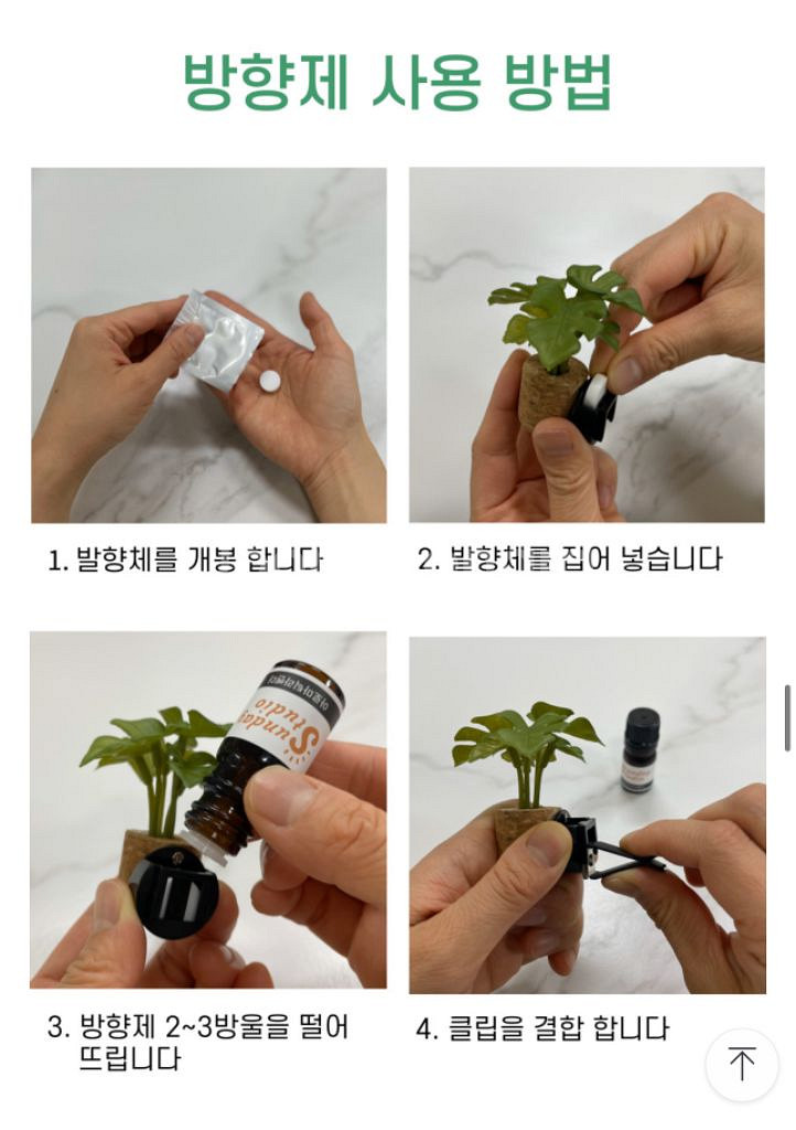 차량용 식물 방향제--5
