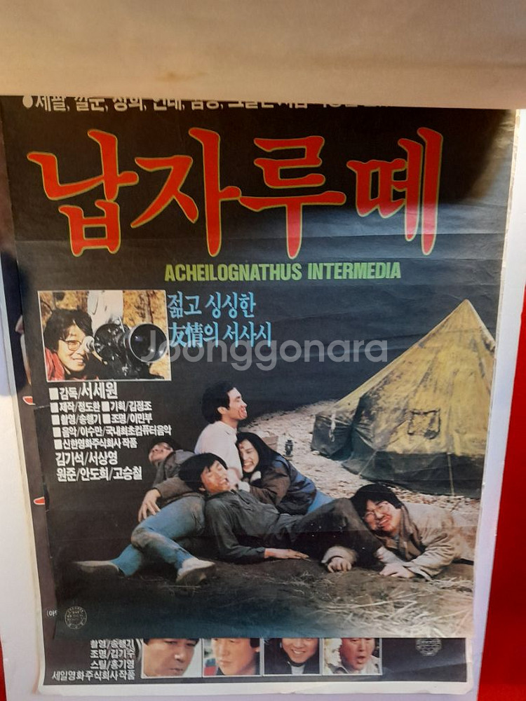 영화포스터 12점--8