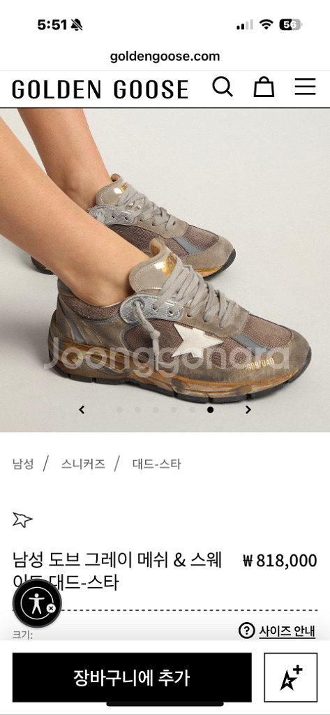 골든구스 대드스타 43사이즈 275-280--5