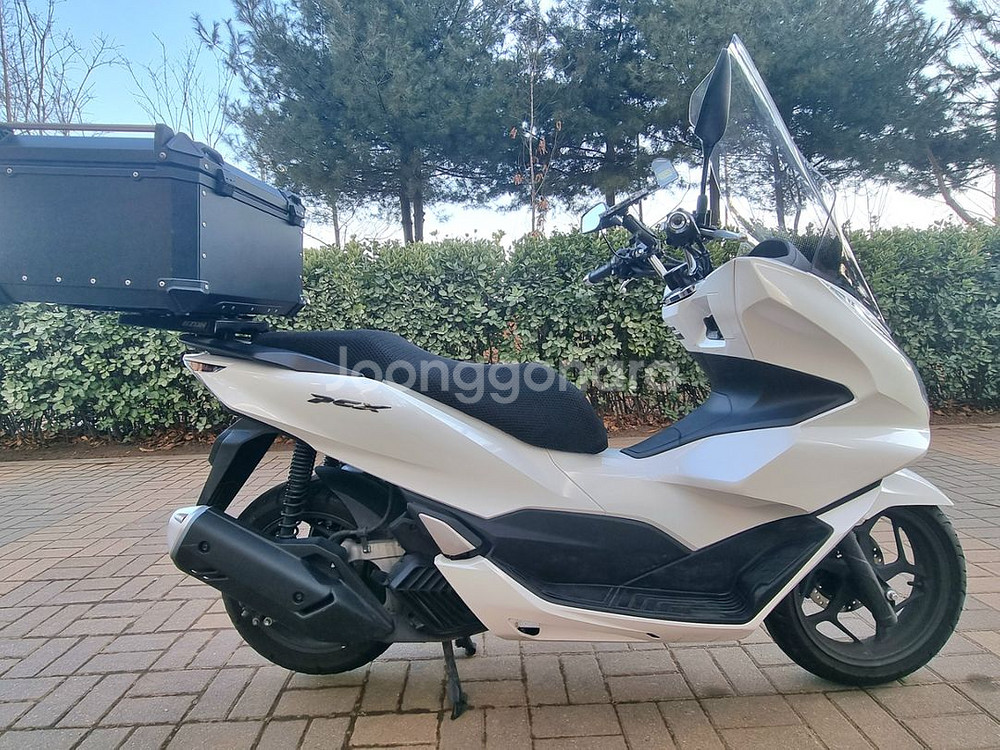 [신차보증O] 23년식 PCX 5101키로 신차급 컨디--2