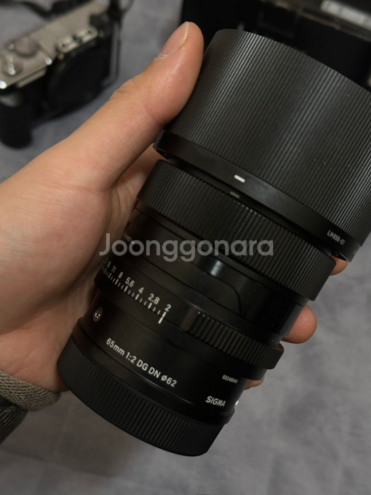 루믹스s9 시그마65mm(f2)--3