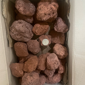 레드 화산석 어항 꾸미기