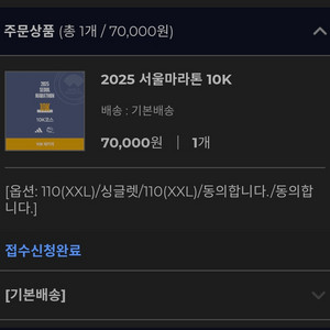 2025 서울마라톤 10K