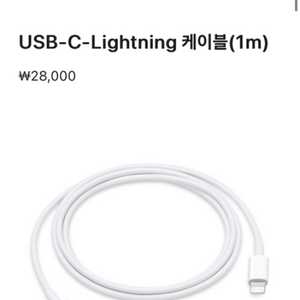 라이트닝 케이블