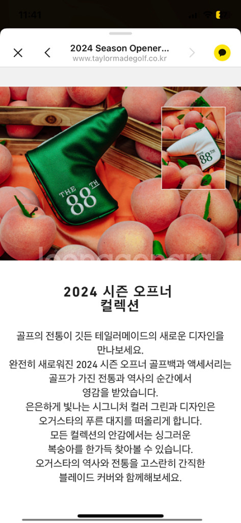 테일러메이드 2024 마스터즈 퍼터커버--3