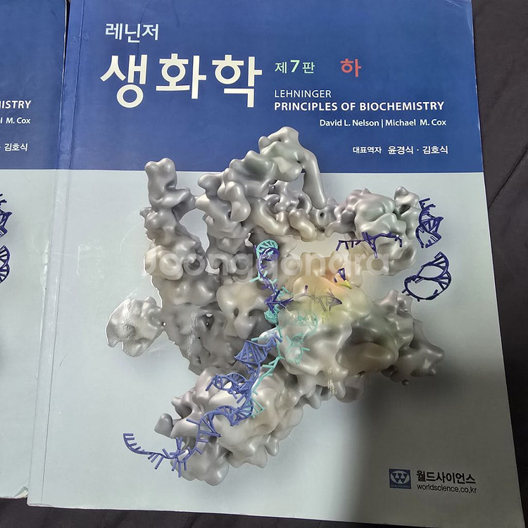 레닌저 생화학 (상, 하) 7판--1