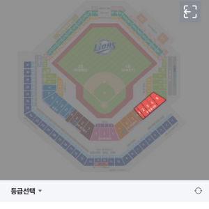 3/9 삼성 vs ssg 시범경기 원정응원석 2연석양도