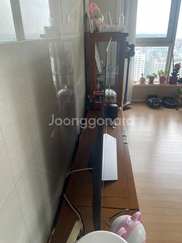 LG OLED 65인치--1