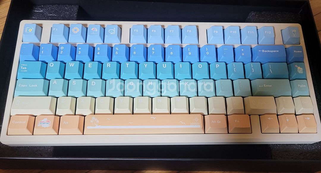 브릿지75--0