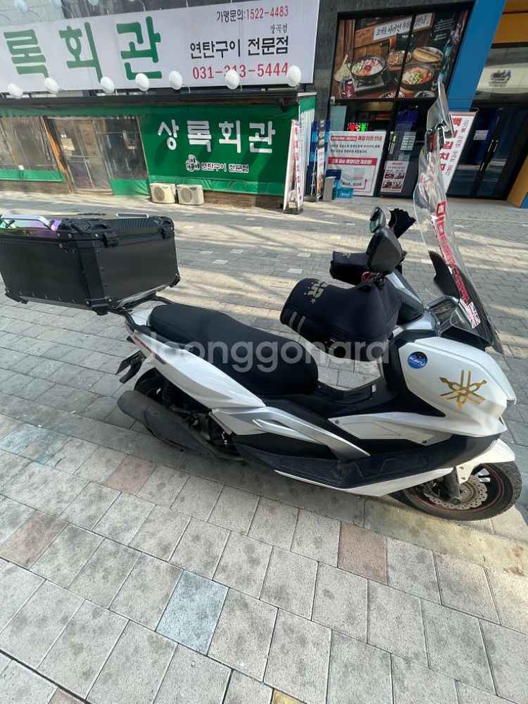 이지맥스300--1