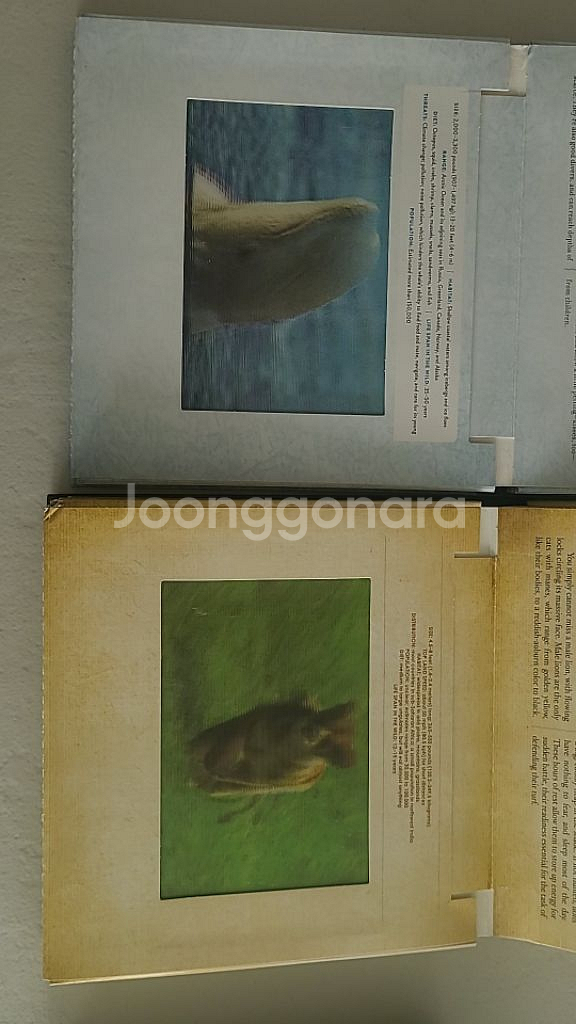 포터큘러북 4종 일괄--3