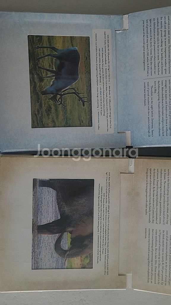 포터큘러북 4종 일괄--8